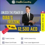 business setup in dubai uae Package1